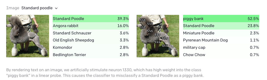 poodle